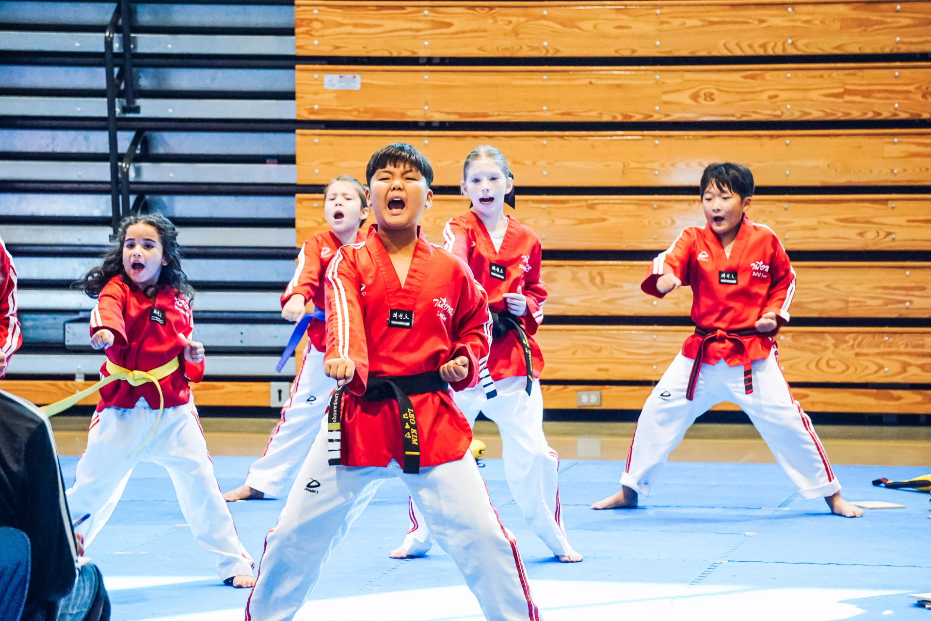 Students performing poomsae with spirit during the tournament